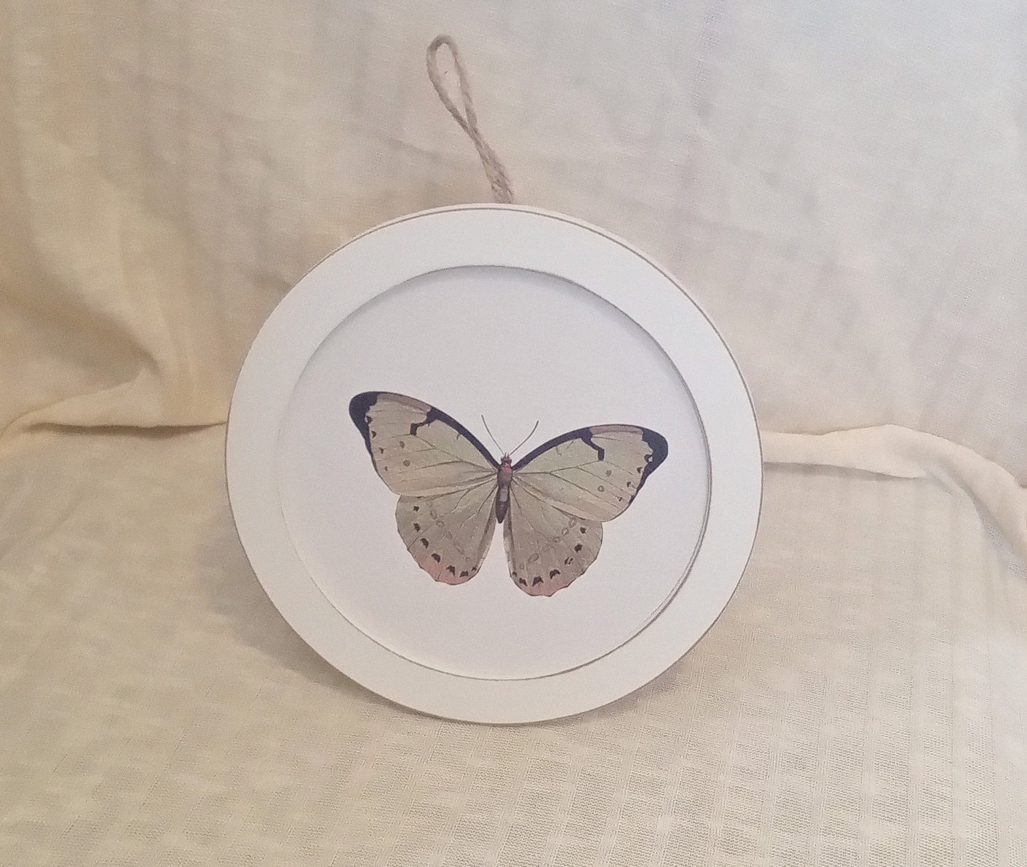 ButterFly Shelf Stand