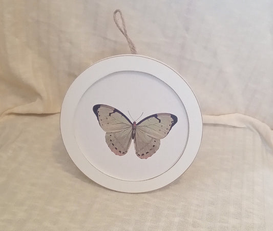 ButterFly Shelf Stand