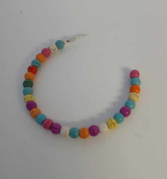 Multiple Color Earrings