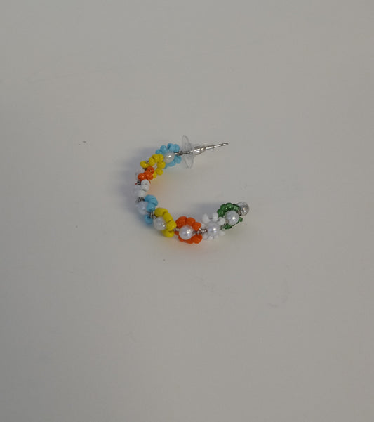 Multiple Color Earrings