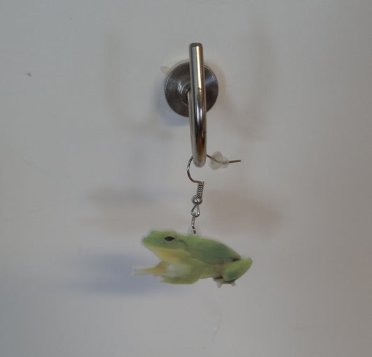 Frog Earrings